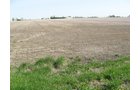 Property photo 8 - 172 Acres Offered in 3 Tracts - Prime Farmland